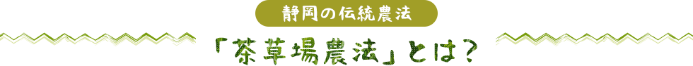 静岡の伝統農法「茶草場農法」とは？