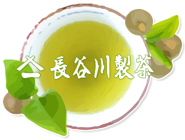 長谷川製茶