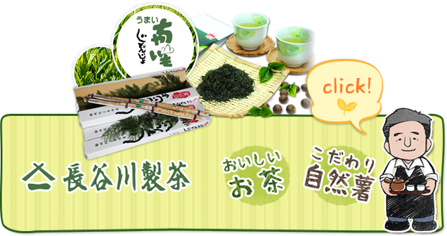 長谷川製茶のおいしいお茶、こだわり自然薯のオンライン購入はこちら